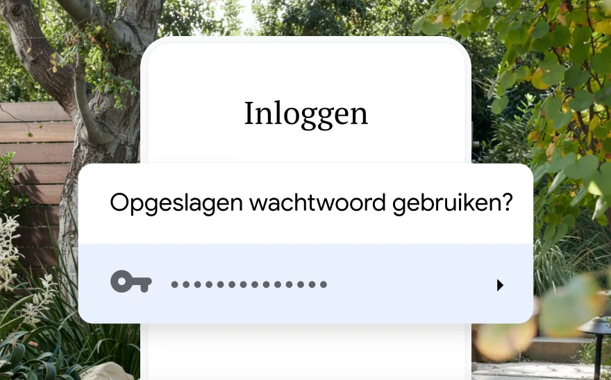 Een inlogpagina voor een reisreservering vraagt of de gebruiker een opgeslagen wachtwoord wil gebruiken. De achtergrond bestaat uit een natuurtafereel.