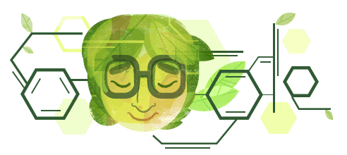 https://www.google.co.id/logos/doodles/2017/asima-chatterjees-100th-birthday-4652731129135104.2-l.png